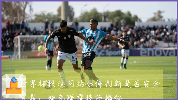 世界杯投注网站如何判断是否安全可靠，避免踩雷技巧揭秘