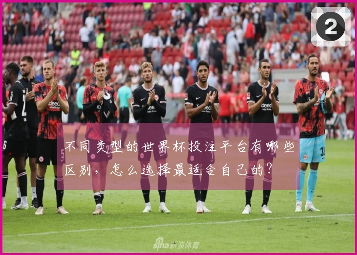不同类型的世界杯投注平台有哪些区别，怎么选择最适合自己的？